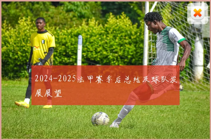 2024-2025法甲赛季后总结及球队发展展望